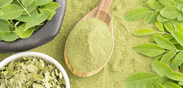 Moringa Plant Powder