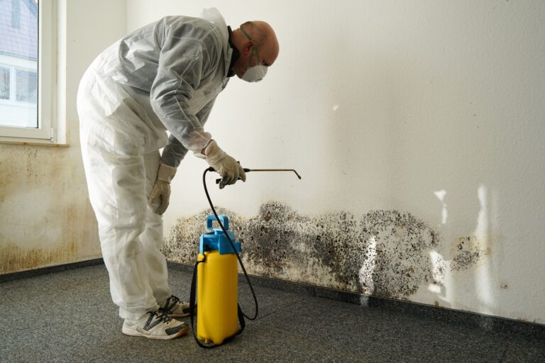 water damage restoration company