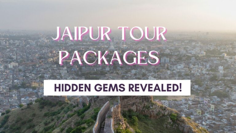 jaipur city tour