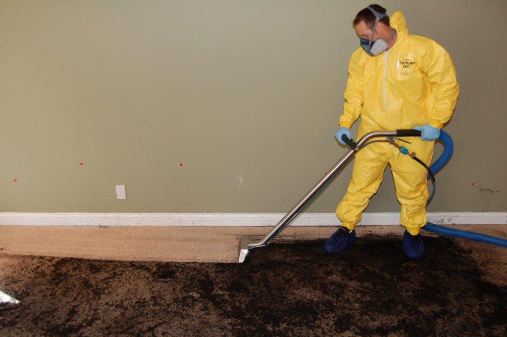sewage water cleanup