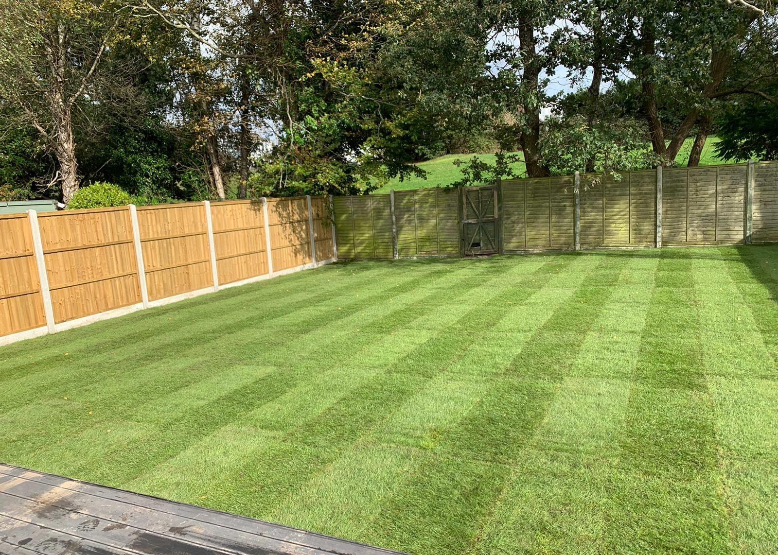 Dorset fencing