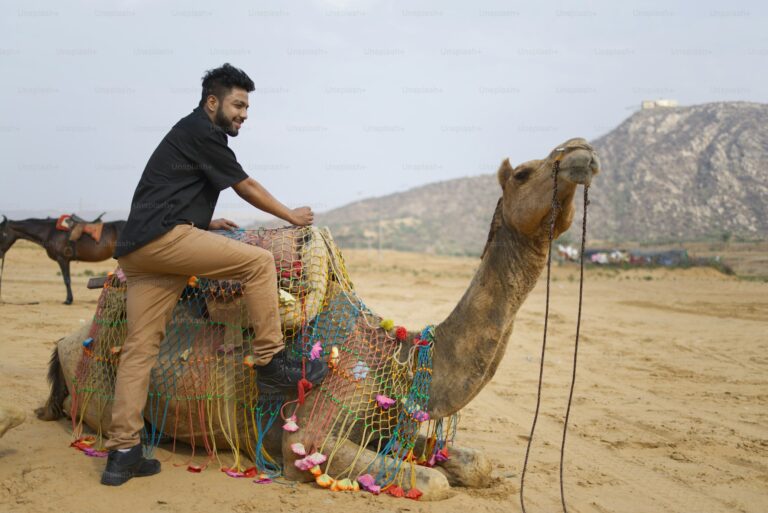 best time to visit India