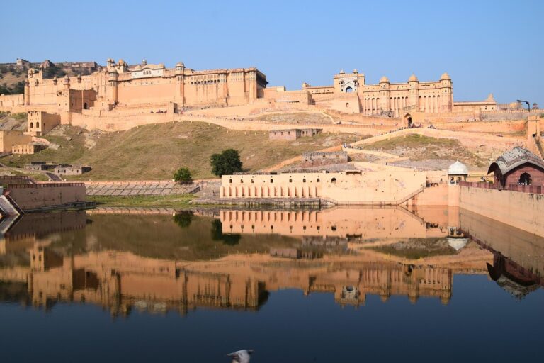 Indian wildlife tour packages
