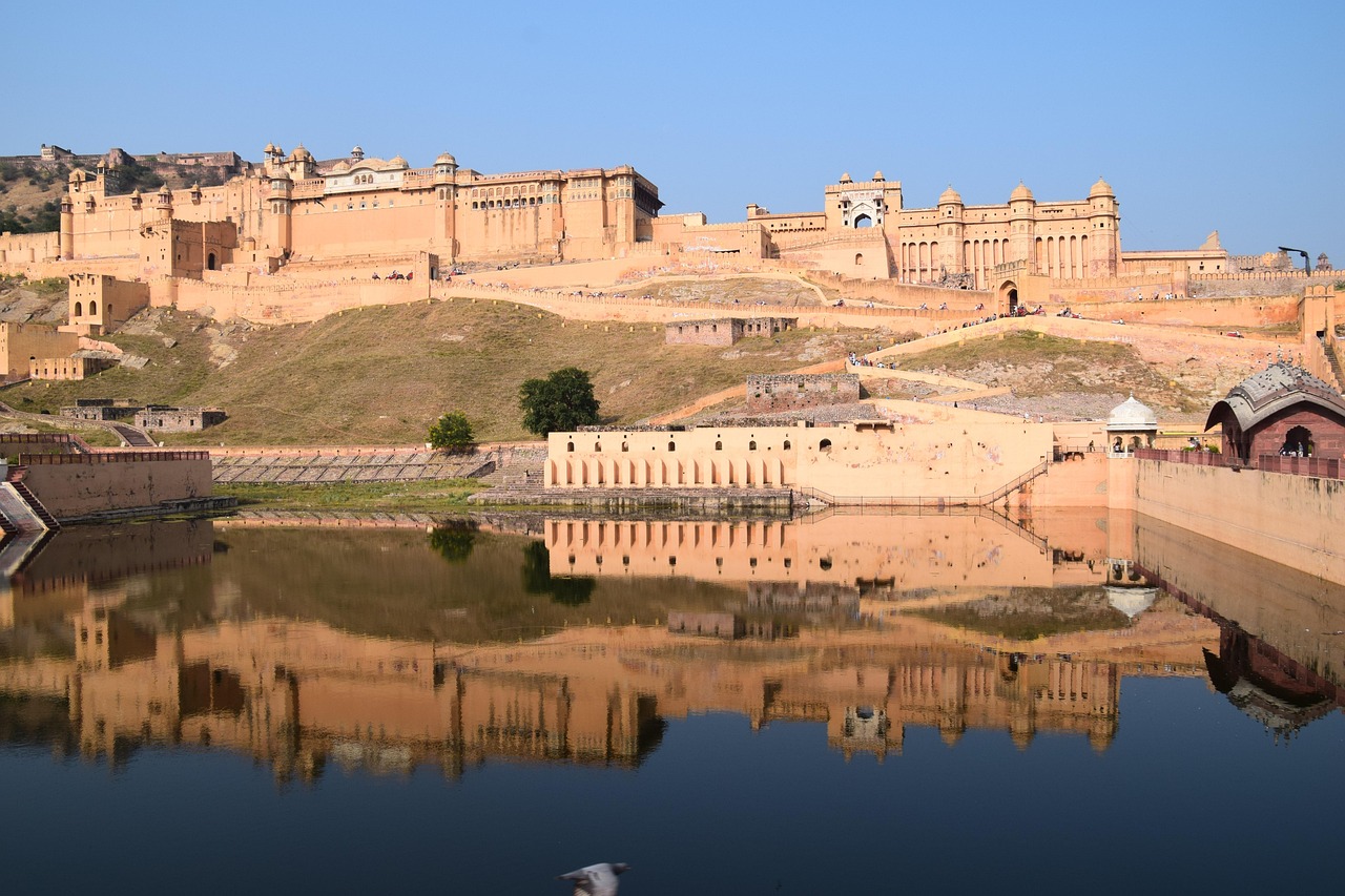 Indian wildlife tour packages