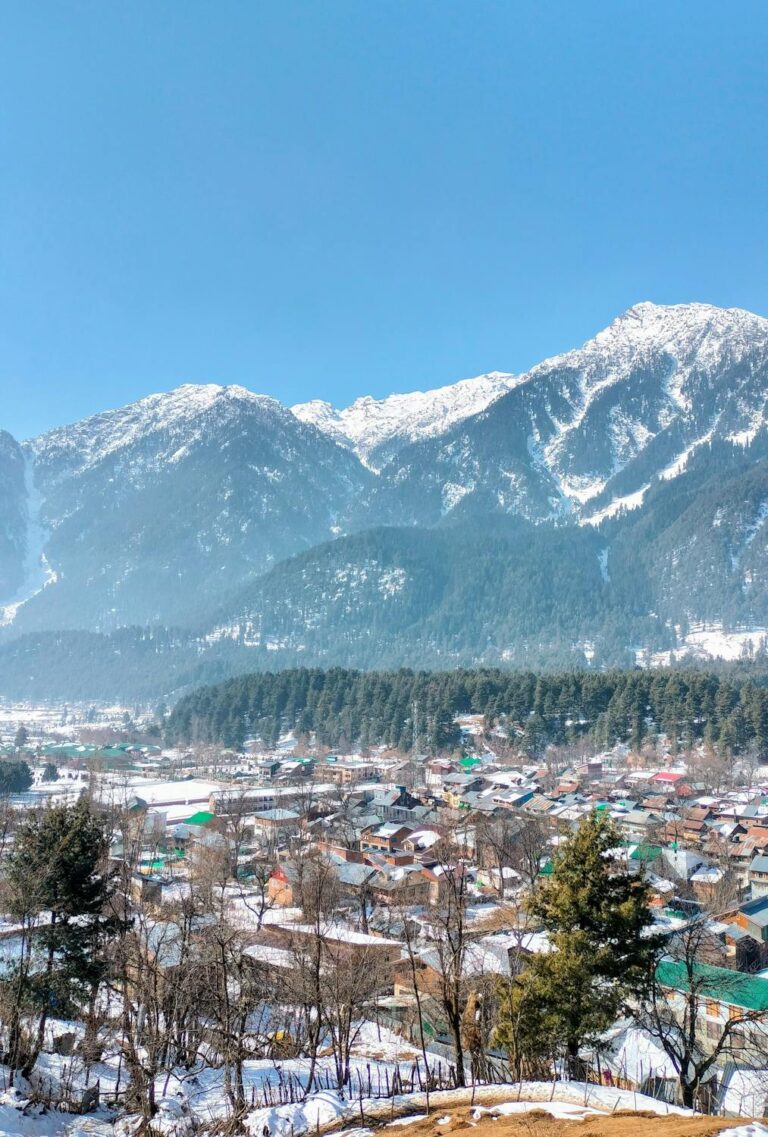 Kashmir package